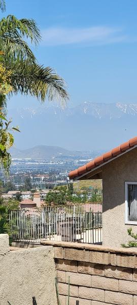 Mary Baez-Wagner-Realtor- Thebaezteam