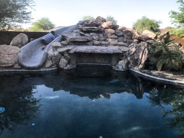 Purified Pool Management Service / Repair & Tile Cleaning