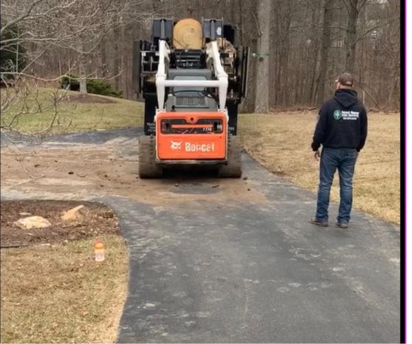 Patrick Musser Tree Service