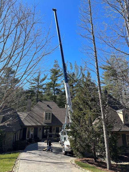 All Pro Tree & Crane