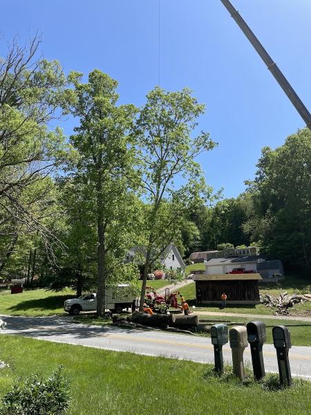 All Pro Tree & Crane