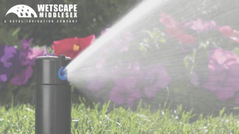 Wet Scape Lawn Sprinklers