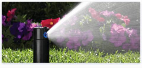 Wet Scape Lawn Sprinklers