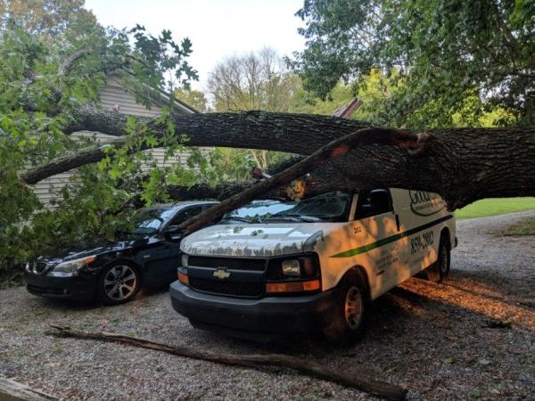 Sky Tree Services LLC