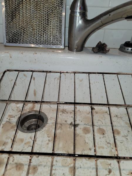 DEE Cleaning Services