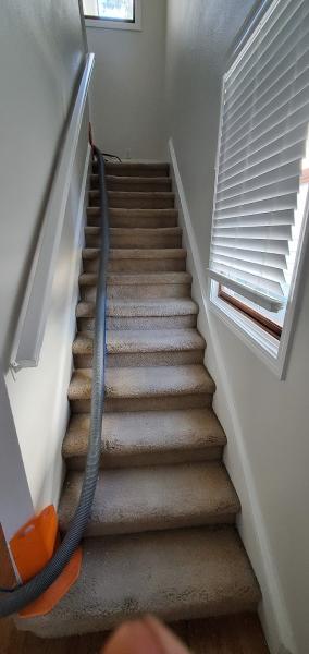 1 and Done Carpet Cleaning & Restoration