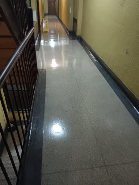 Eppsolutely Clean Maintance and Detailing Services LLC