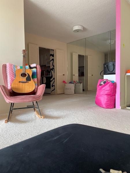 Shiny Carpet Cleaning