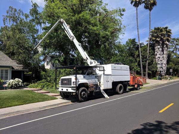 Saunders Tree Service Inc