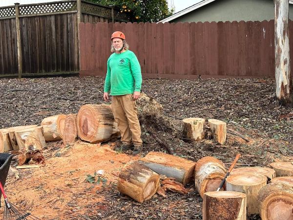 Saunders Tree Service Inc