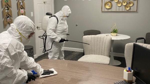 Divine Quality Carpet Care