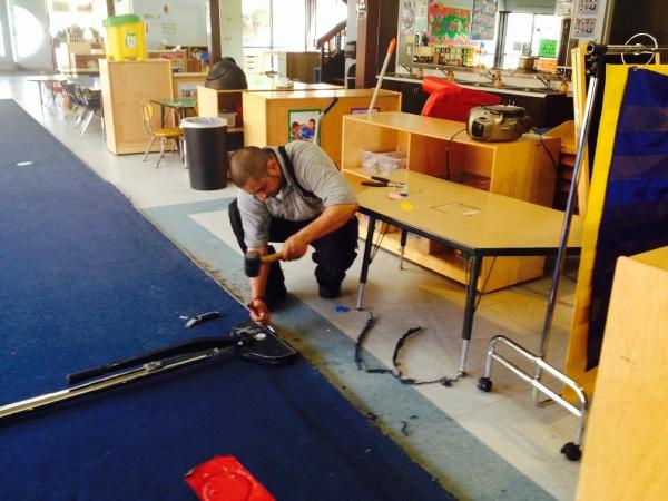 Divine Quality Carpet Care
