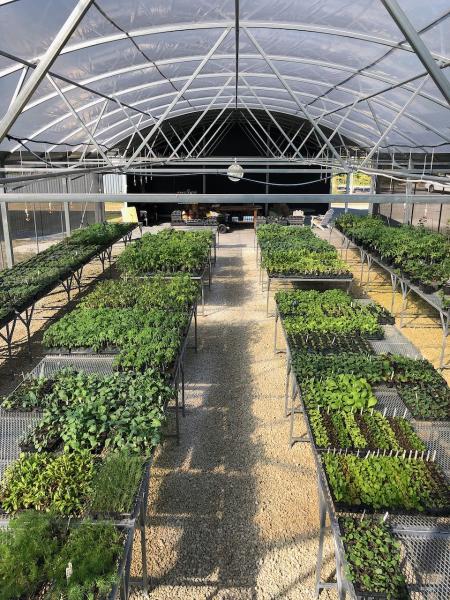 Ready-to-Grow Gardens