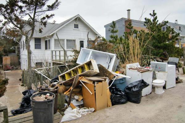 The Junk Tycoons