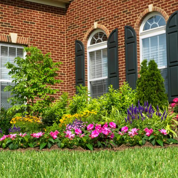 Reid's Property Solutions