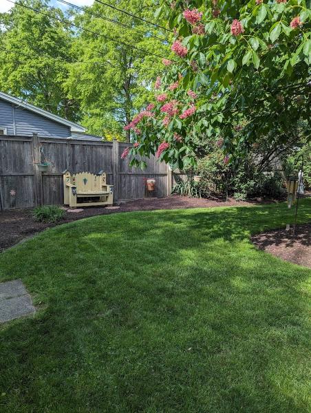 Rooted Landscape Design & Plant Care Llc.