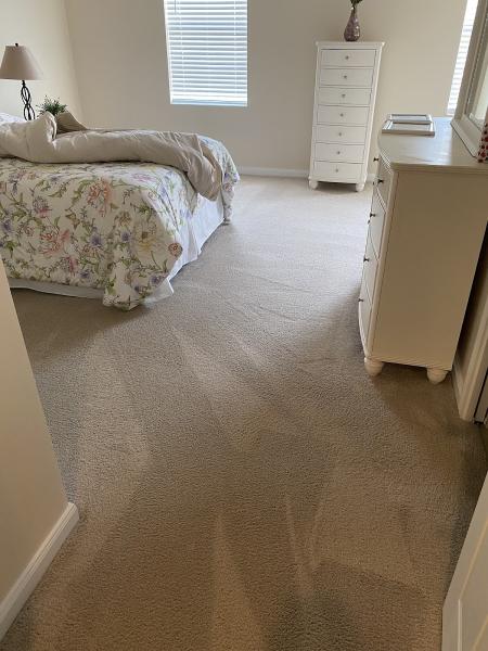 Simply Green Dry Carpet Cleaning