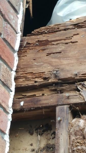Cornerstone Building Inspections