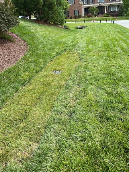 Landscape Solutions