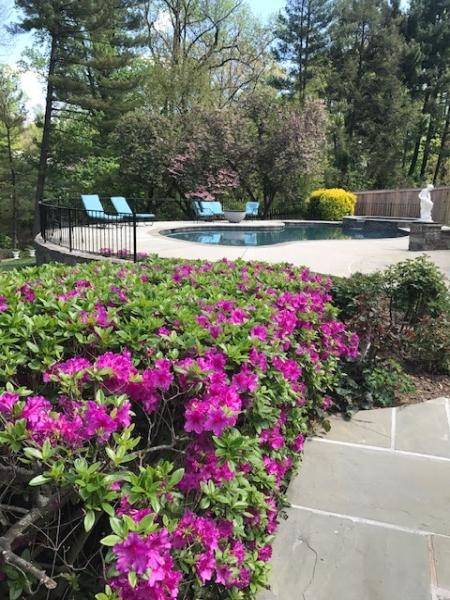 Countryside Pool Services