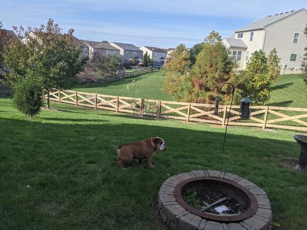 Fence Pro