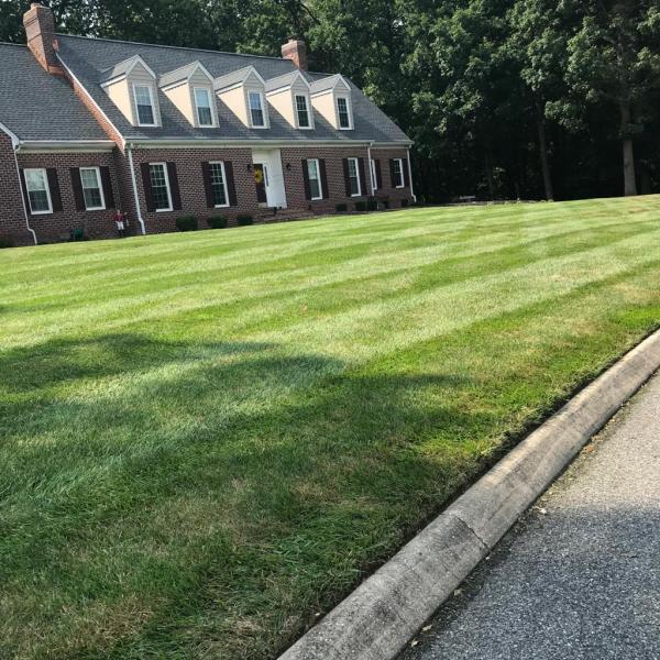 Jame Landscaping Solutions