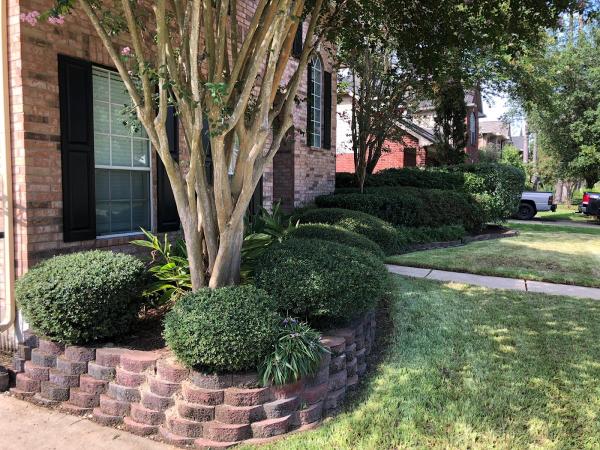 Grasshoppers Tree Services