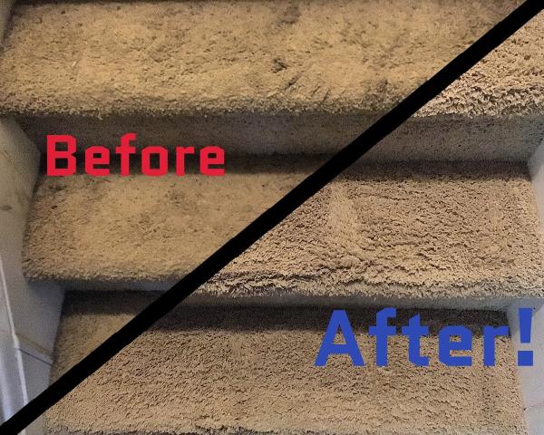 Alpha Carpet & Rug Cleaning