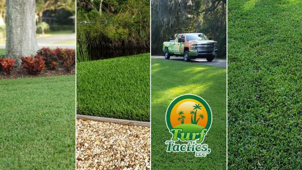 Turf Tactics LLC