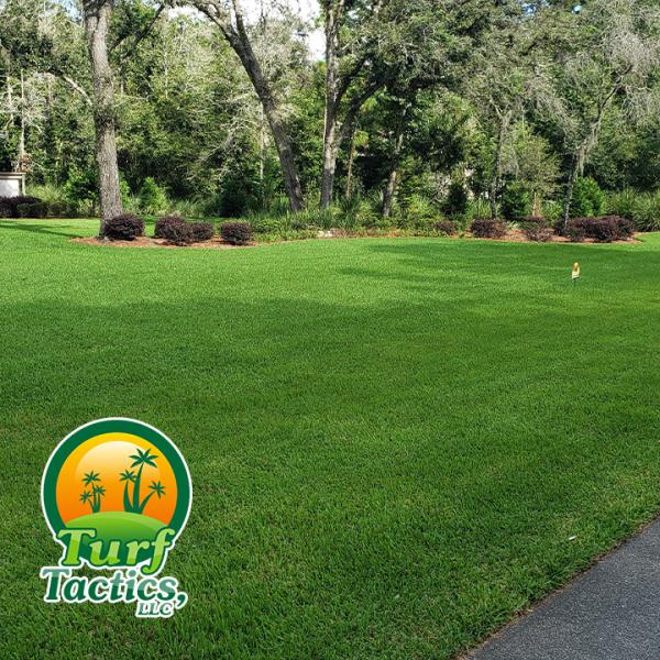 Turf Tactics LLC