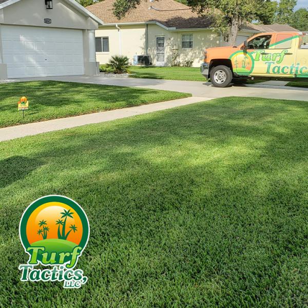 Turf Tactics LLC