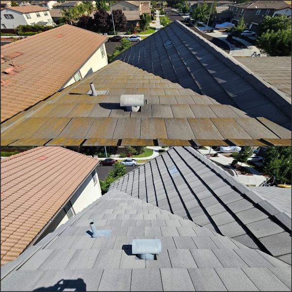 Shinexd Exterior Cleaning Solutions
