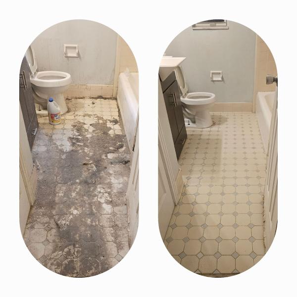 Evolution DR Cleaning Services