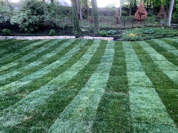 Monzon Landscaping