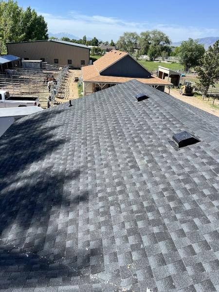 Nest Roofing Company