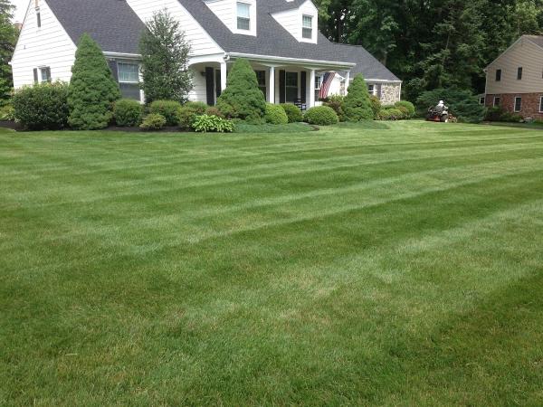 Stewart Bros. Turf