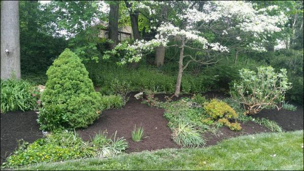 Stewart Bros. Turf