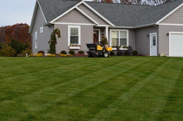 Green Grass Fertilization & Pest Control