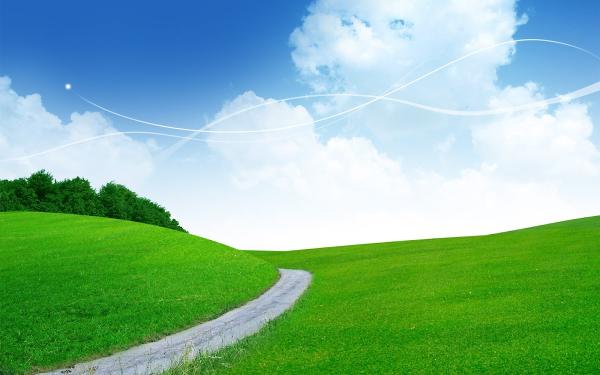 Green Grass Fertilization & Pest Control