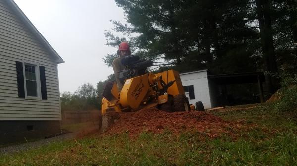 Catawba Stump Grinding