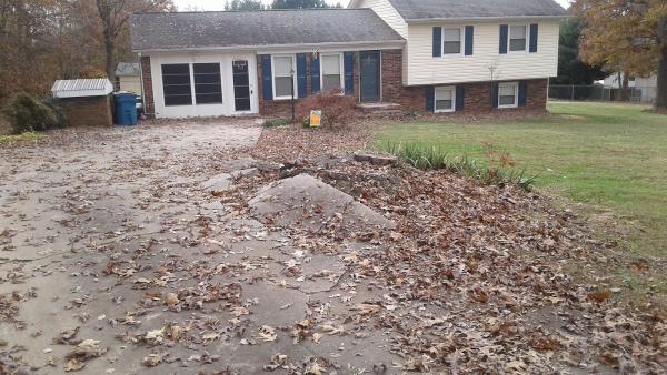 Catawba Stump Grinding