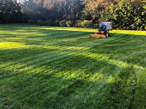 Fredy's Landscaping Services