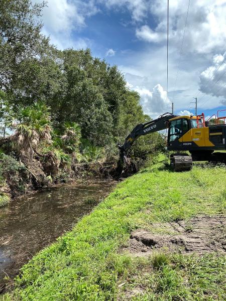 Coastline Tree Service