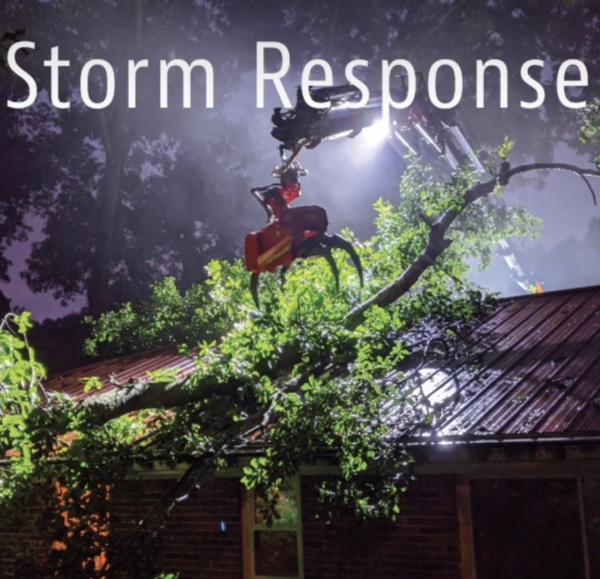 Nelson's Tree Service