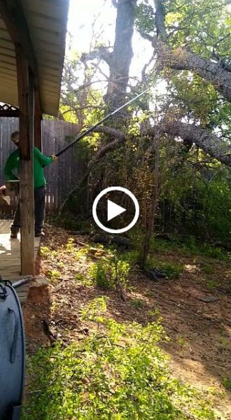 Ramirez Tree Service