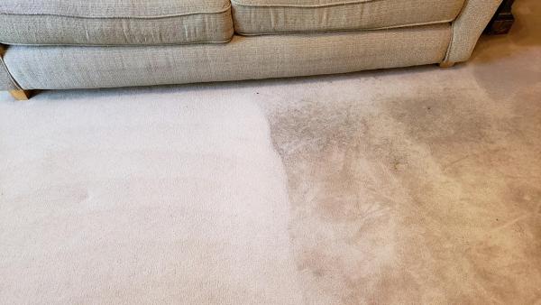Phenomenal Carpet Care