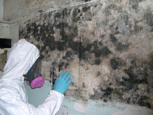 Dry-Pro Restoration Services