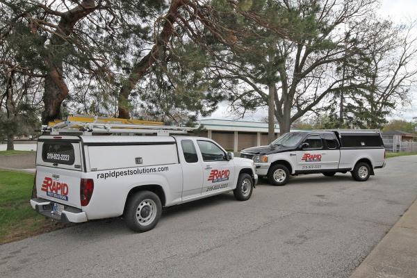 Rapid Pest Solutions