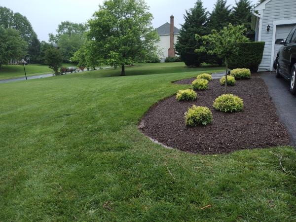 Tino Landscaping LLC