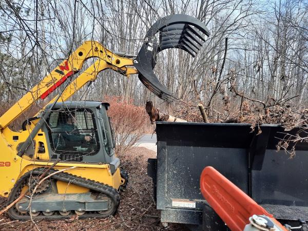 L J's Tree Service